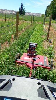 DESMALEZADORA De arrastre KCM DATV 1000 2